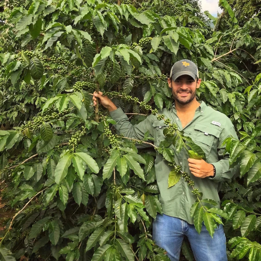 Wagmi Coffee. Patrick Murray