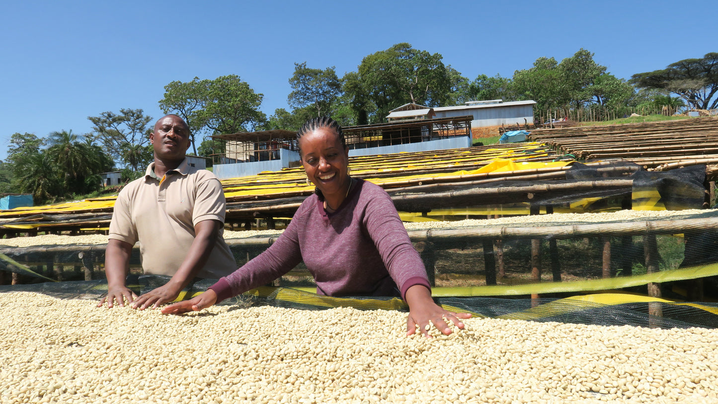 Coffee processing at an Ethiopian washing station. Origin context image.