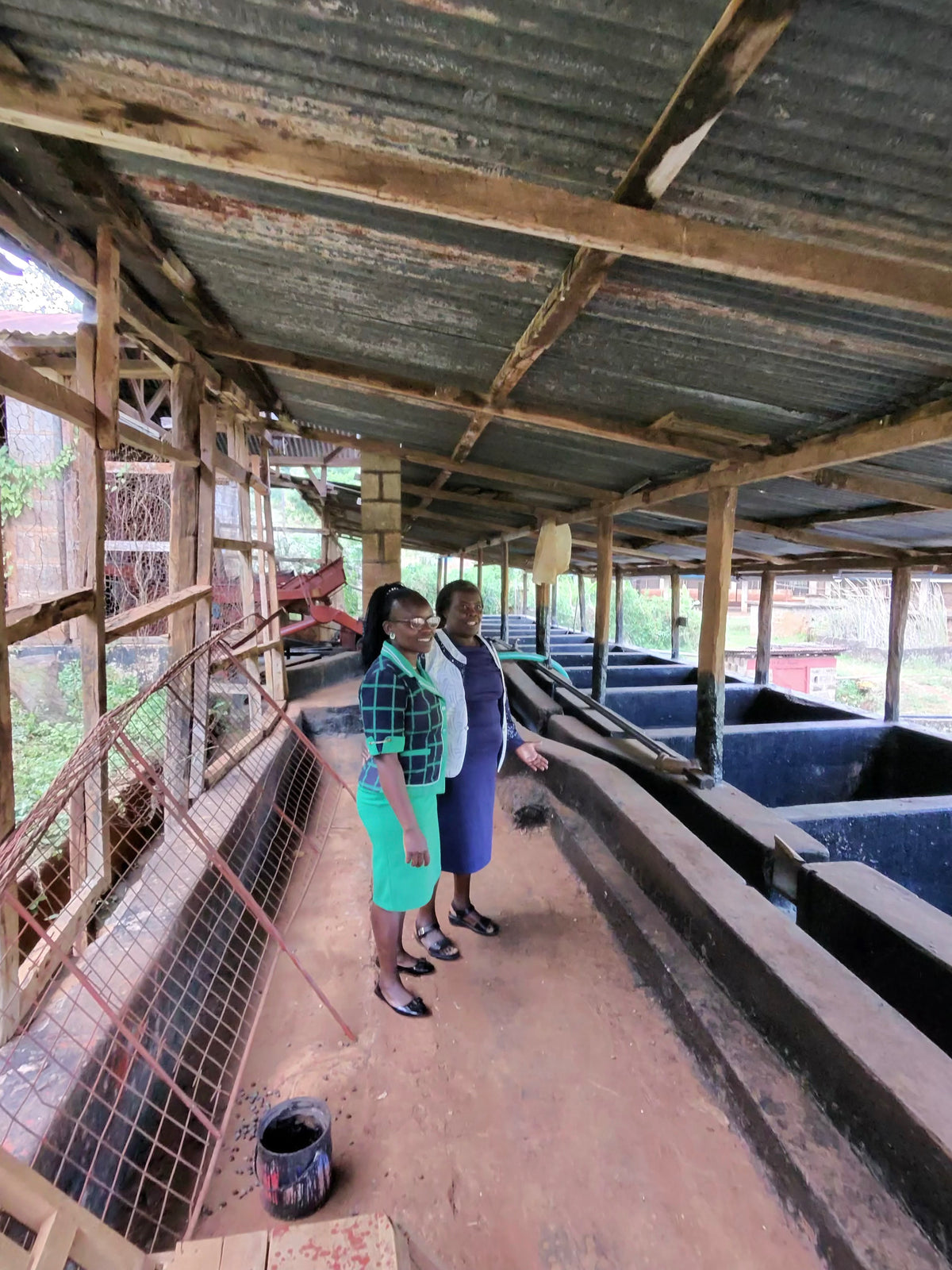 Nginda Estate wet mill and fermentation tanks, Embu, February 2026